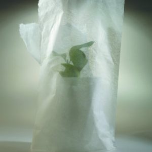 2002