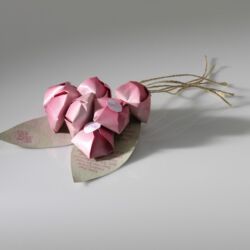 3. místo, kategorie Produktový obal, téma Obal na národní produkt, Studenti vysokých škol a designéři do 30 let, Melissa Dangerfield, Medové bonbóny Manuka, Massey University Albany, Nový Zéland