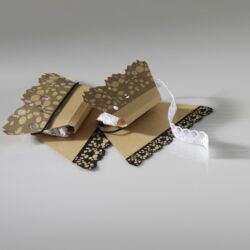 Cena předsedy poroty, kategorie Produktový obal, téma Obal na národní produkt, Studenti středních škol, Kateřina Kuchariková, Česká krajka, Střední umělecká škola, Ostrava, Česká republika