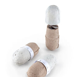 2. místo, Studenti středních a vyšších odborných škol, Jan Bendák, Earth Daily Pills, Střední uměleckoprůmyslová škola hudebních nástrojů a nábytku, Česká republika