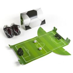Cena Inovačního centra Model Obaly, Jamie Zabarte a Adrian Sutherland, Soccer Field In A Box, Conestoga College, Kanada